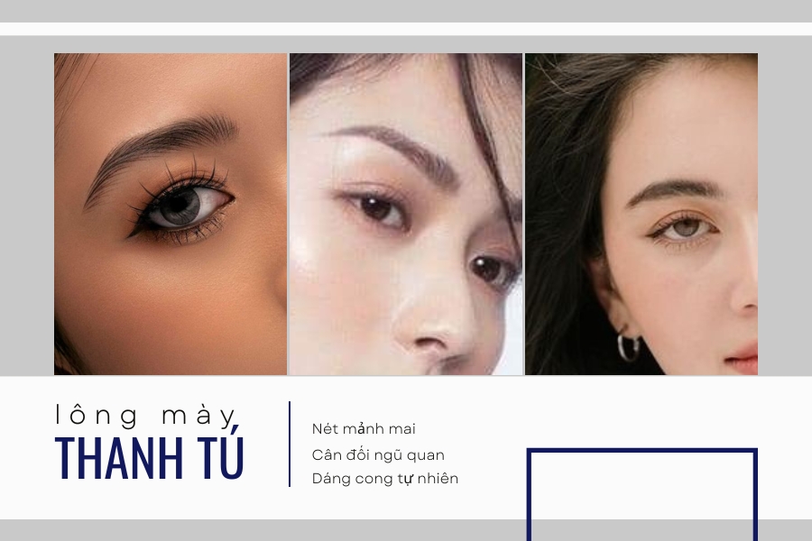 Đặc điểm nổi bật của lông mày thanh tú Đặc điểm nổi bật của lông mày thanh tú