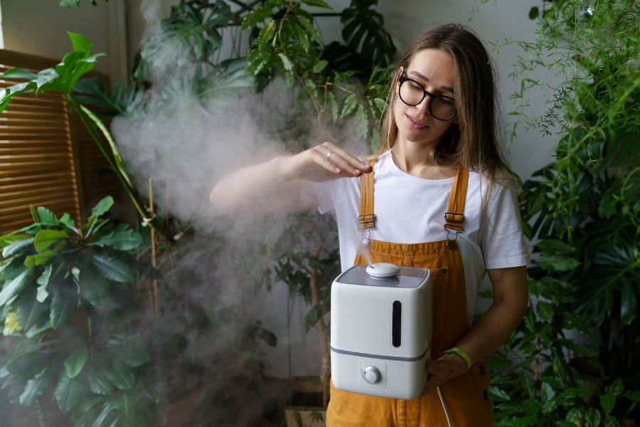 Sử dụng máy tạo độ ẩm trong điều kiện thời tiết hanh khô để duy trì độ ẩm