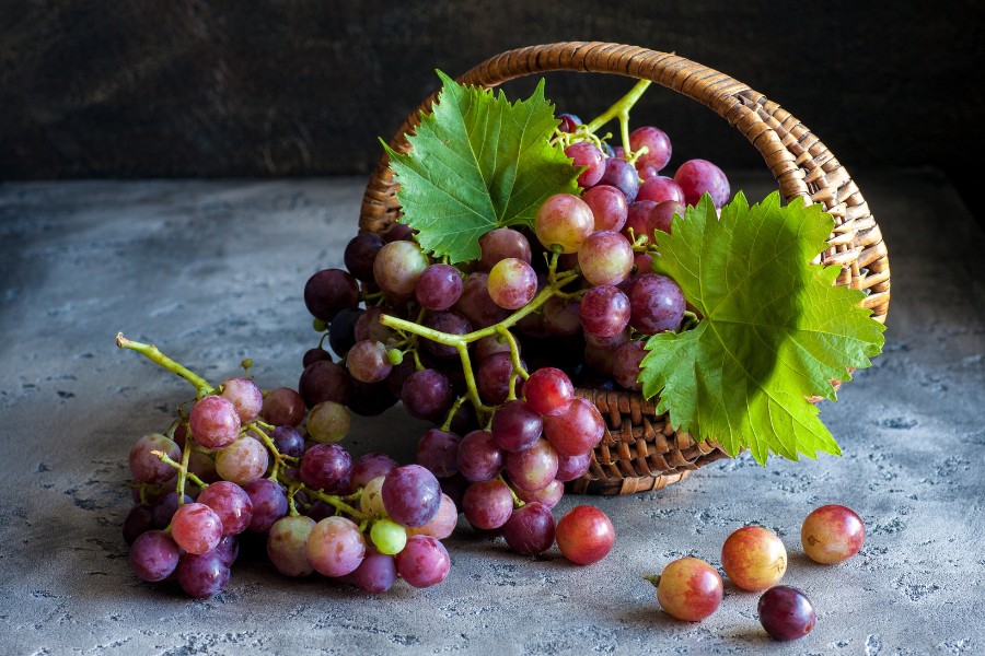 nho giup ngua sam nam