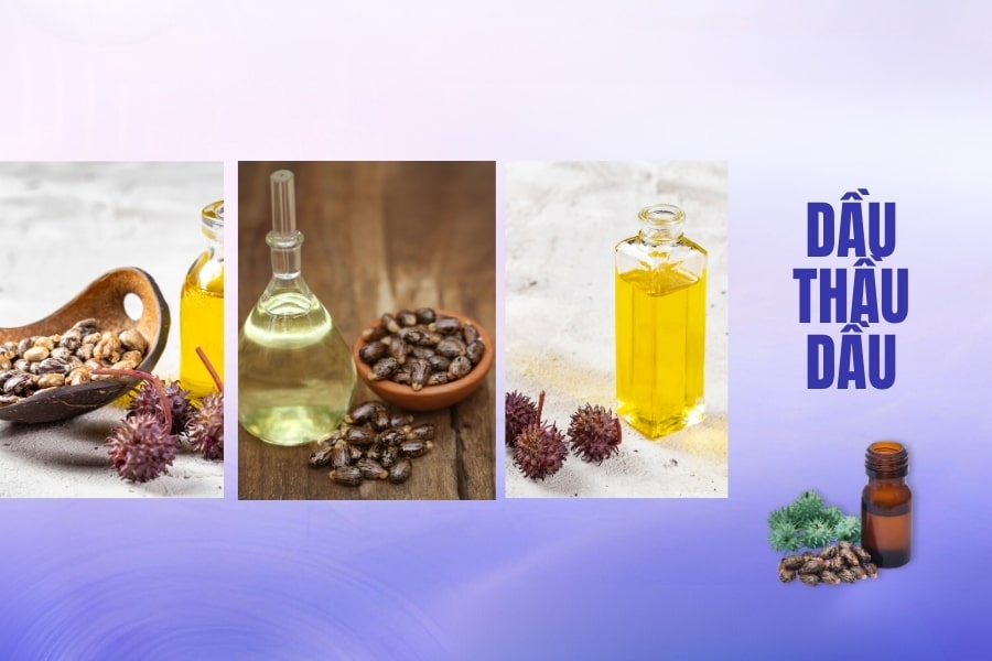 Sử dụng dầu thầu dầu xóa nốt ruồi ở giữa môi trên Sử dụng dầu thầu dầu xóa nốt ruồi ở giữa môi trên