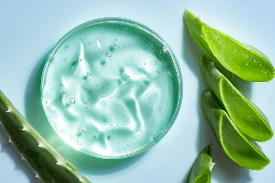 Sử dụng nha đam để giảm sưng phồng rộp ra, giúp quá trình phục hồi diễn ra hiệu quả hơn dùng gel nha đam hỗ trợ trị rộp chân