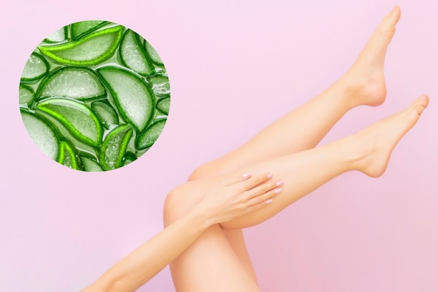 Nha đam là một loại thảo dược có khả năng cung cấp độ ẩm, chống viêm và giúp da thêm mềm mịn