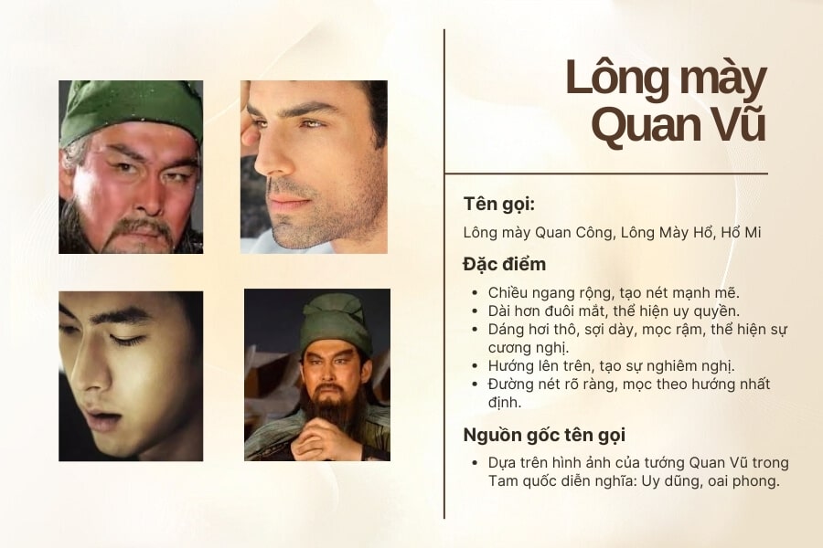 Lông mày Quan Vũ có đặc điểm như thế nào? Lông mày Quan Vũ có đặc điểm như thế nào?