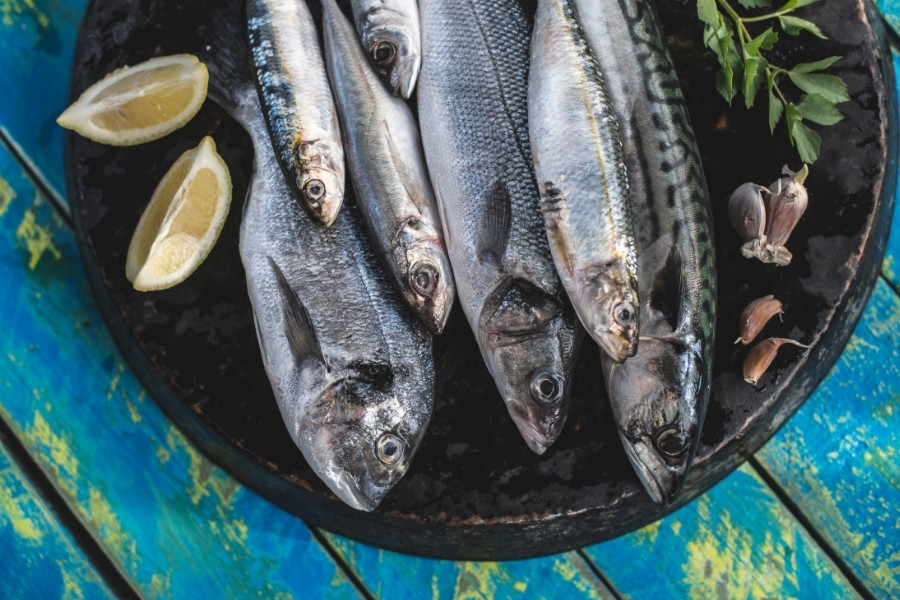 Thường xuyên ăn cá béo có thể hỗ trợ đáng kể trong việc chống lão hóa ăn nhiều cá béo giúp hỗ trợ da "lão hóa ngược"