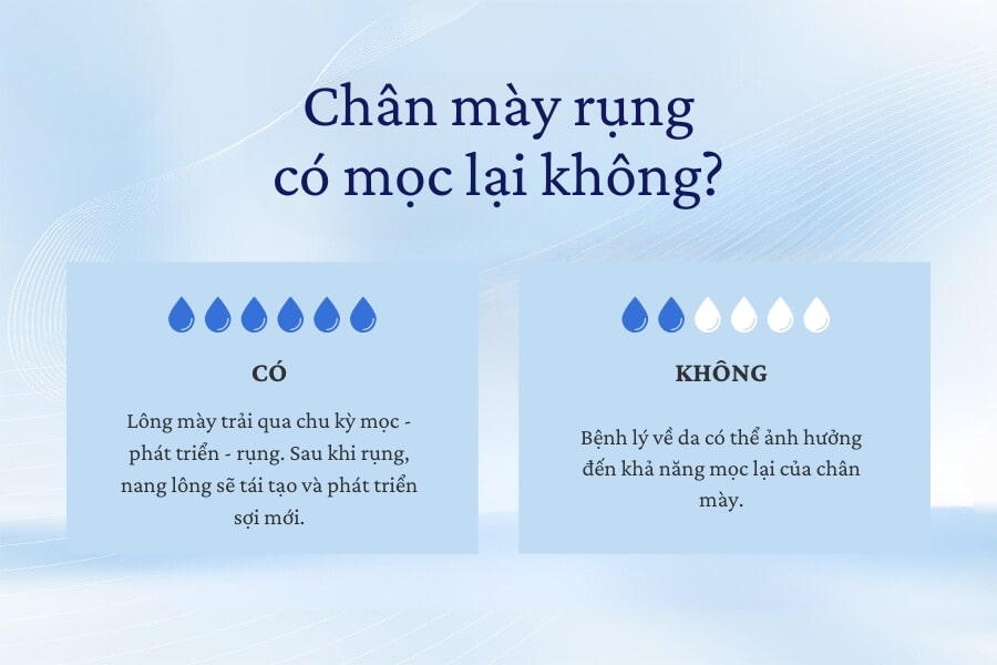 Chân mày rụng có mọc lại không? Chân mày rụng có mọc lại không?