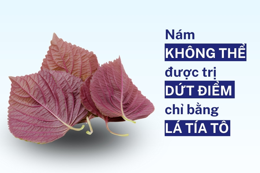 Nám không thể trị dứt điểm chỉ với lá tía tô