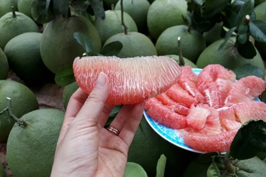 những trái cây tốt cho da