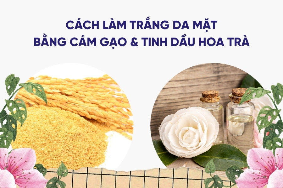 nuôi dưỡng da mặt trắng hồng bằng cám gạo và tinh dầu hoa trà