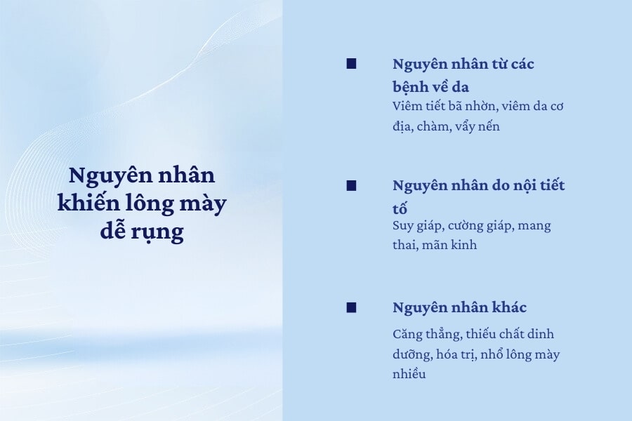 Nguyên nhân khiến lông mày dễ rụng Nguyên nhân khiến lông mày dễ rụng