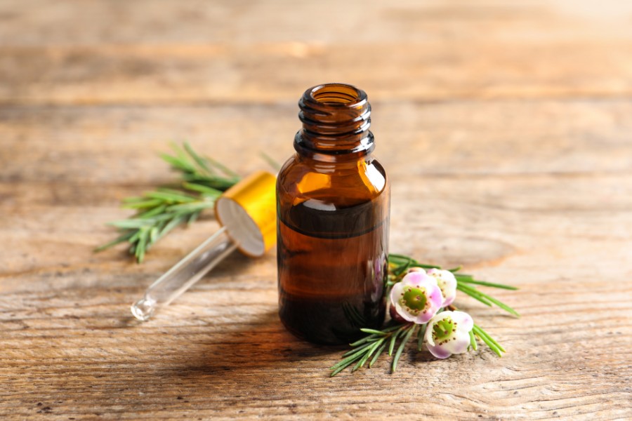 Tinh dầu trà có khả năng kháng khuẩn và chống viêm trị sẹo mụn hiệu quả