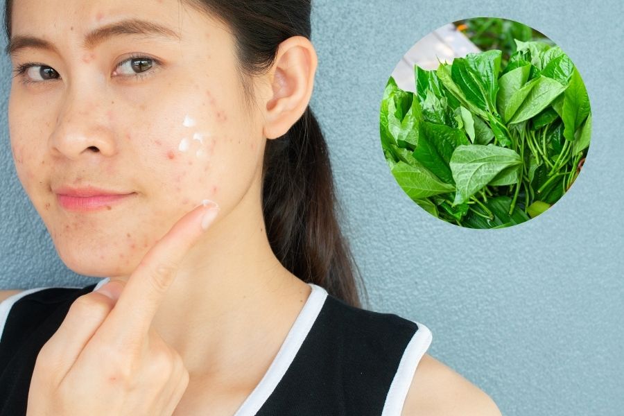 Lá trầu không giúp kháng viêm, hỗ trợ điều trị viêm nang lông rất tốt