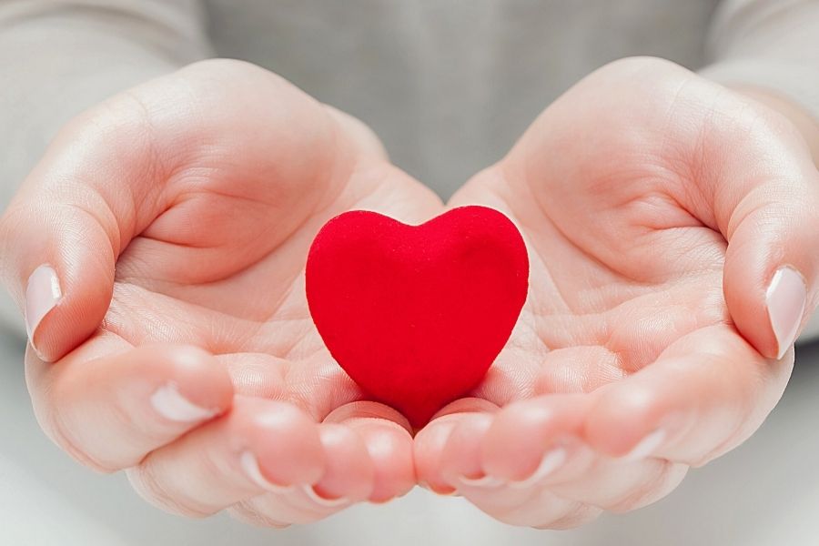 Chất chống oxy hóa có trong vải giúp bảo vệ tim mạch