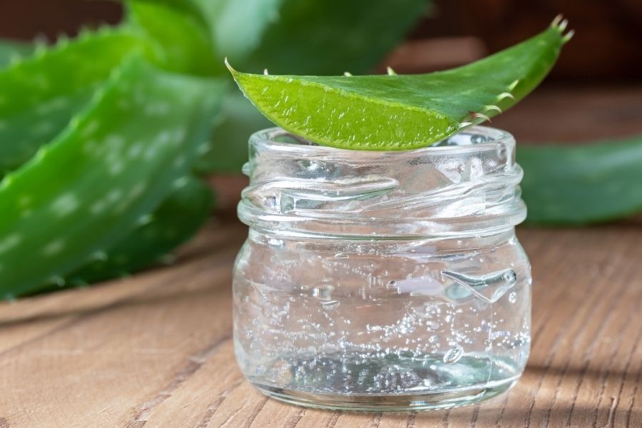 Vừa nặn mụn xong có nên đắp mặt nạ không? Bao lâu thì được? 2 Nha đam có tính mát lạnh tự nhiên, giúp giảm sưng tấy, mẩn đỏ