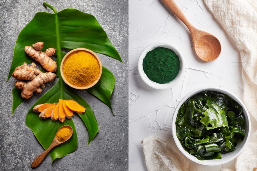 Mặt nạ rong biển và nghệ có khả năng giảm viêm, kháng khuẩn hiệu quả Mặt nạ rong biển và nghệ có khả năng giảm viêm, kháng khuẩn hiệu quả