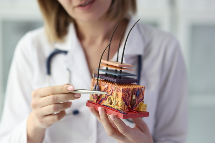 Cấu tạo và cấu trúc chính của lông vùng kín