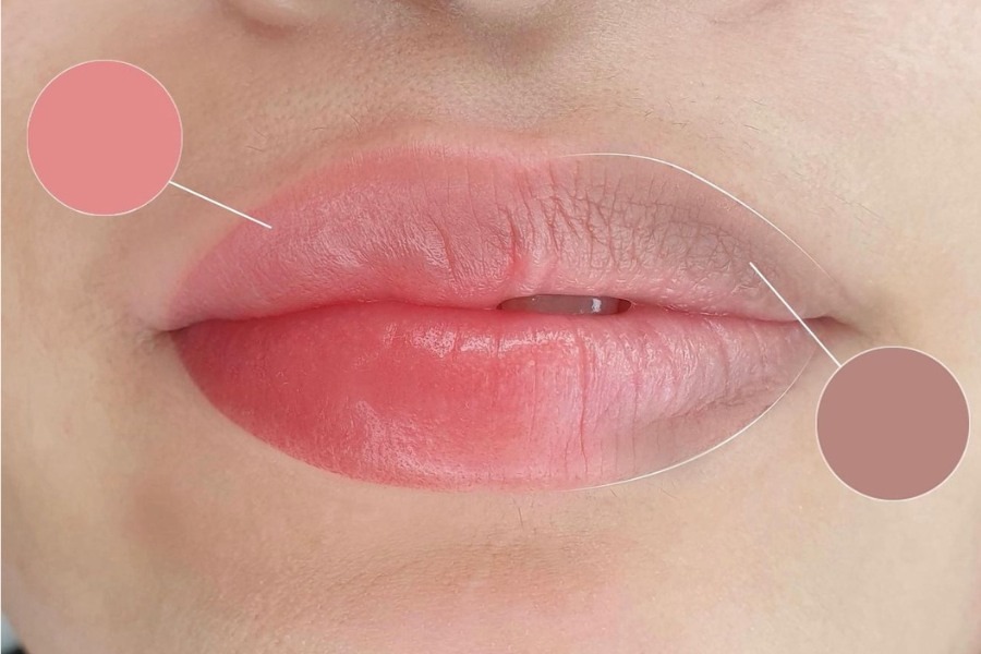 Khử thâm môi là gì? Các phương pháp khử thâm môi phổ biến hiện nay 3 Khử thâm môi là giúp môi hồng hào tươi tắn hơn