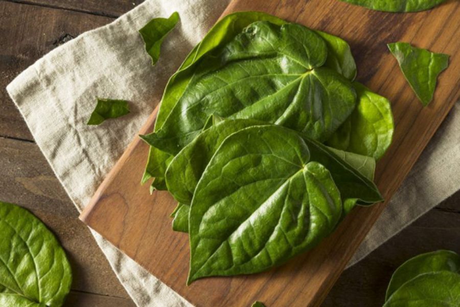 Bôi nước cốt lá trầu không là cách hỗ trợ điều trị hiệu quả