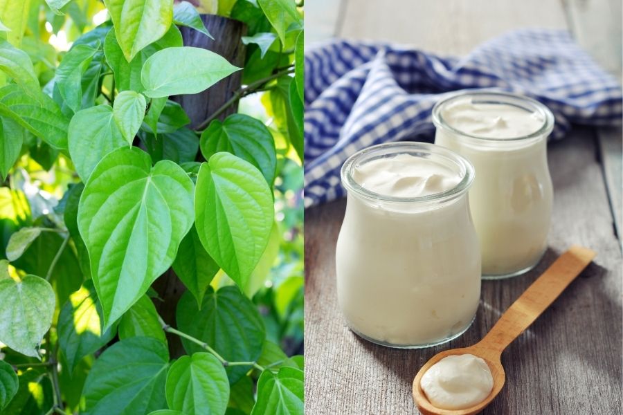 Đắp mặt nạ thảo mộc