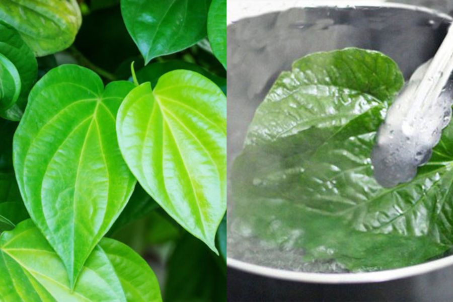 Tắm với nước thảo dược mang lại hiệu quả toàn diện