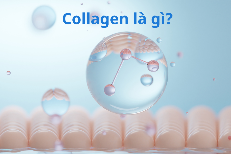 Collagen là một cái tên quen thuộc trong thẩm mỹ  làm đẹp  