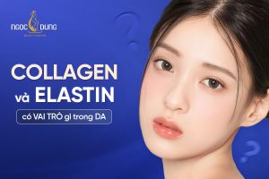 Collagen và Elastin có vai trò gì trong da và thẩm mỹ
