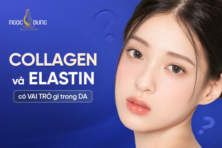 Collagen và Elastin có vai trò gì trong da và thẩm mỹ
