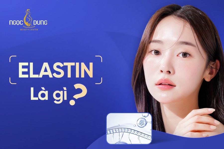 Elastin là gì