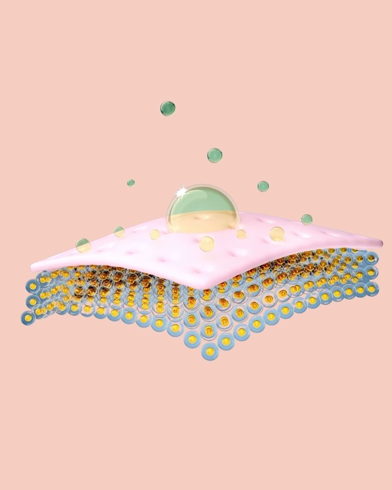 Cung cấp thêm dưỡng chất làm tăng đề kháng cho da