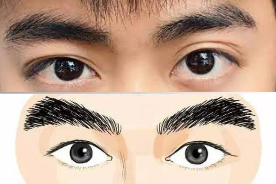 Người sở hữu lông mày hổ khá mạnh mẽ và cá tính