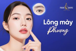 Lông mày phượng