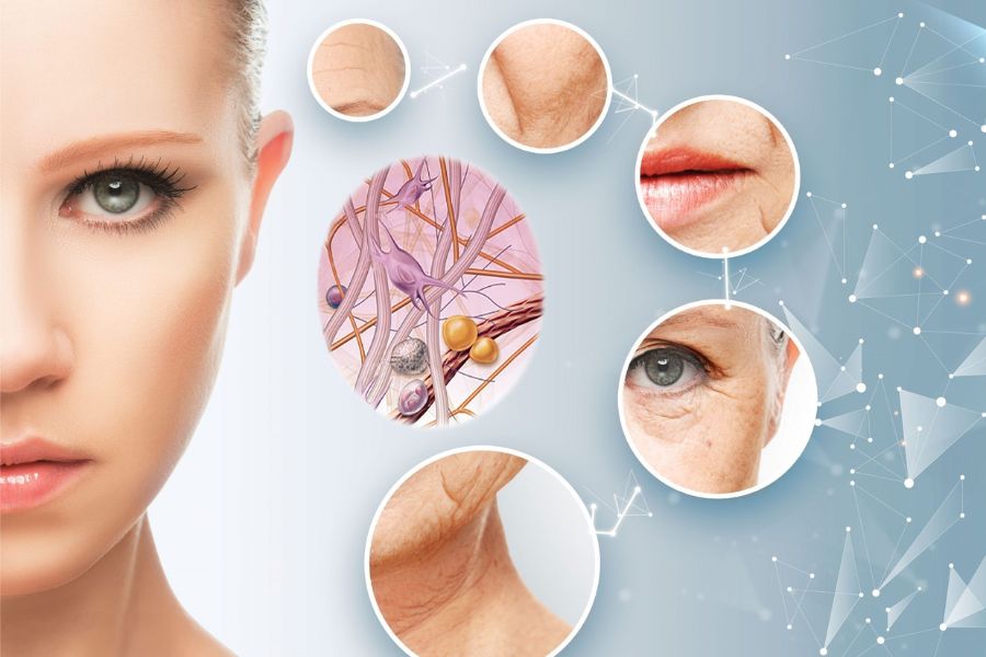 Y học tái tạo: Xu hướng ứng dụng trong thẩm mỹ và điều trị bệnh 8 Y học tái tạo là bước tiến trong việc trẻ hóa làn da, giúp bạn lão hóa ngược theo thời gian