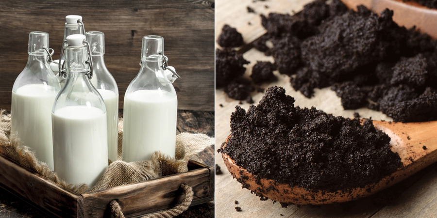 Sữa tươi không đường và bã cà phê có tác dụng tẩy tế bào chết và ngăn ngừa lão hóa da