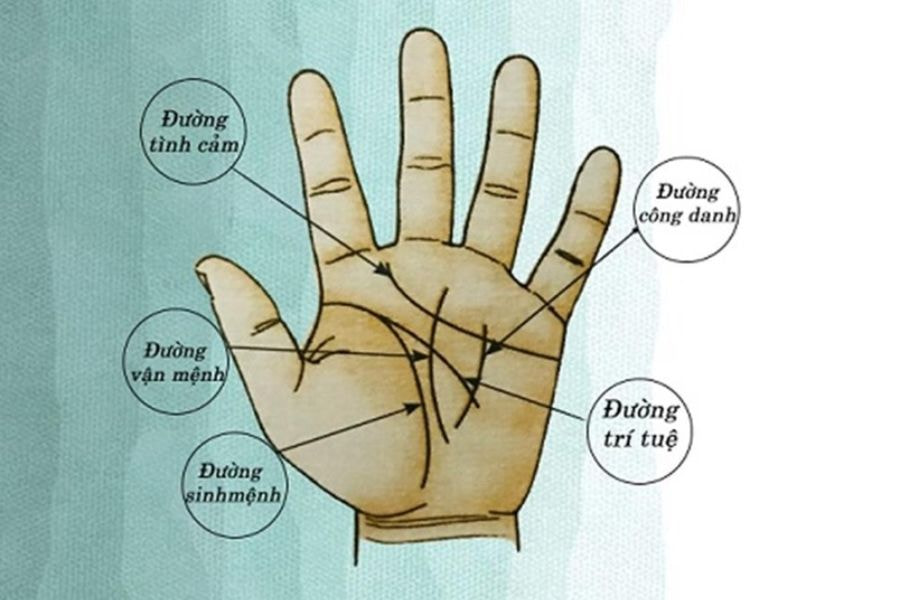 Nốt ruồi ở bàn tay bên trái & phải tiết lộ điều gì? 9 Nốt ruồi ở các đường chỉ tay sẽ có những tác động khác nhau đến sức khỏe, tình cảm, sự nghiệp, trí tuệ và vận mệnh của một người
