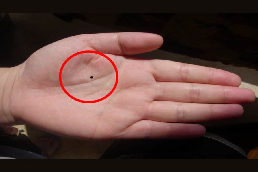 Nốt ruồi ở bàn tay bên trái & phải tiết lộ điều gì? 8 Nốt ruồi ở lòng bàn tay trái thường có những ý nghĩa về nội tâm