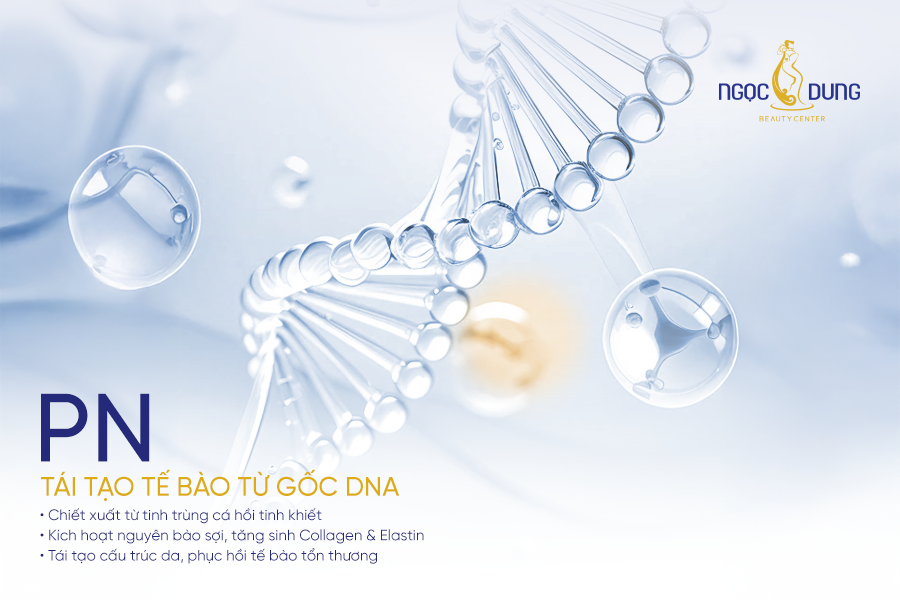 Polynucleotides (PNs), chiết xuất từ tinh trùng cá hồi tinh khiết